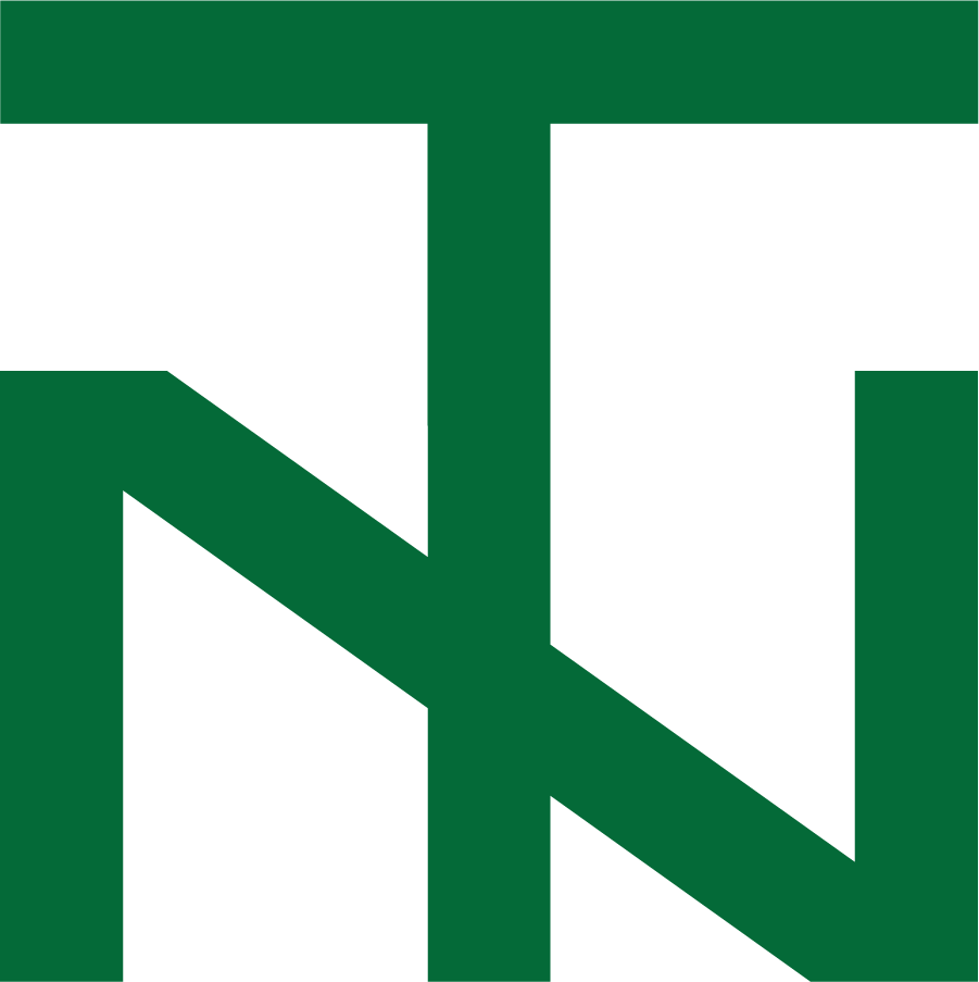 North Texas Mean Green 1967 Secondary Logo diy iron on heat transfer